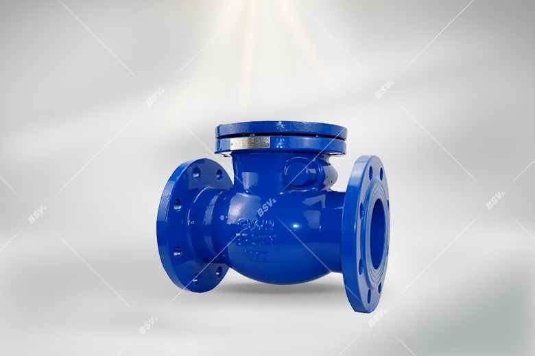 Swing Check Valve